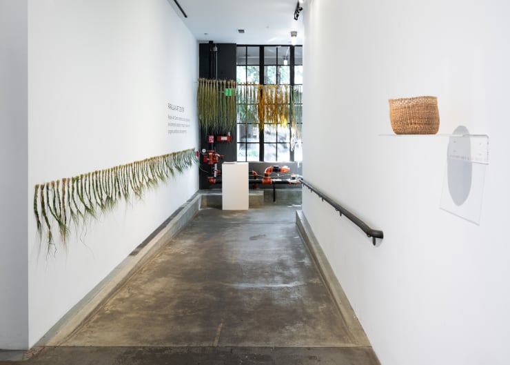 C45 Parallax Assembly Dsc 6168 Web