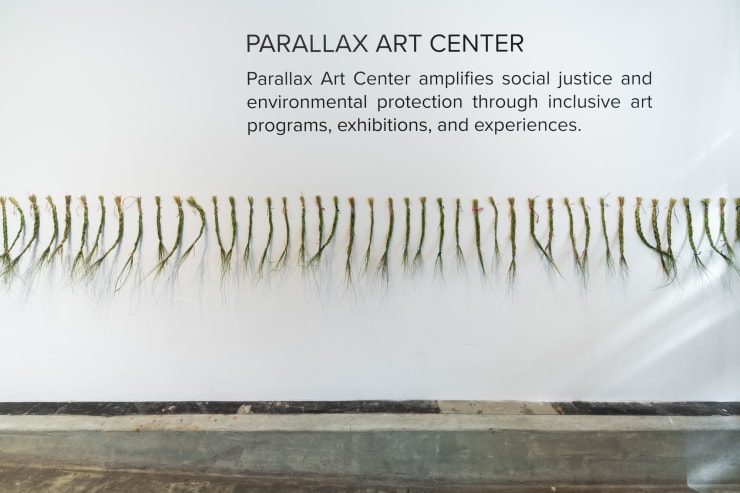 C45 Parallax Assembly Dsc 6169 Web