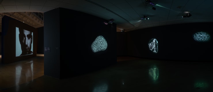 3 Peter Campus Secca 19 Of 19