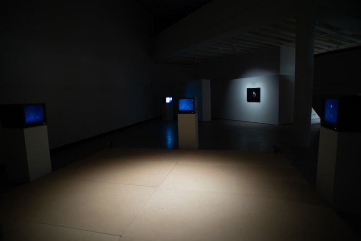 3 Peter Campus Wfu 9 Of 12