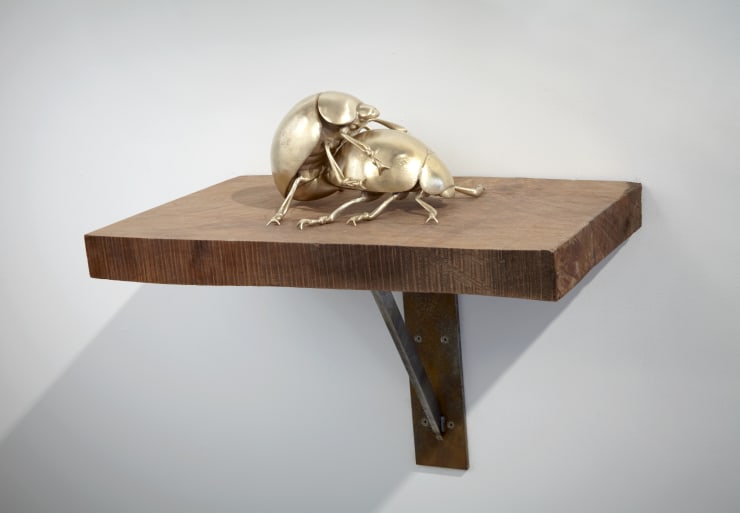 Malia Jensen Ladybugs 2011