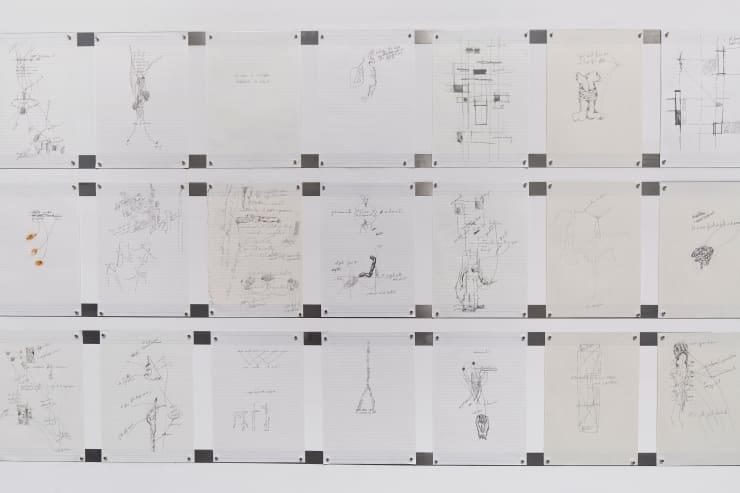 Tierney Tacla Muggenborg 41