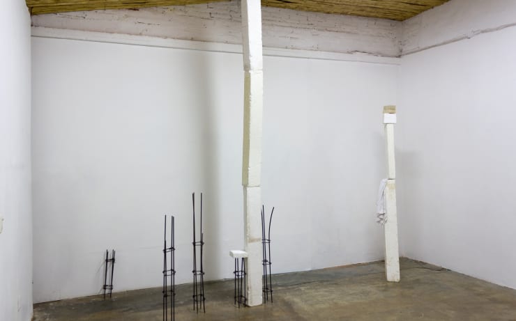 117 2015 Parallel Insituto