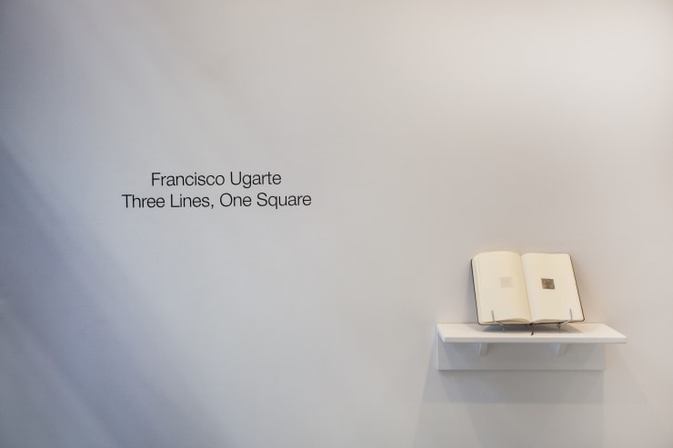 Installation Image Francsico Ugarte Three Lines One Square 7