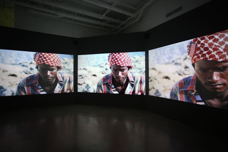 Installation View 3 Endurance Janet Biggs