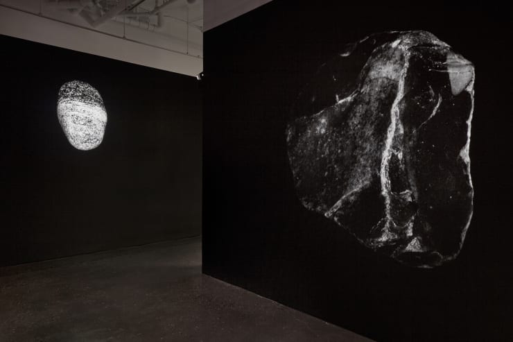 Installation View 1 Peter Campus Circa 1987