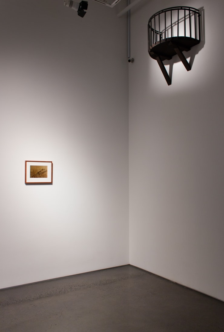 Tracks Symptoms And Designations Art And The Index 6