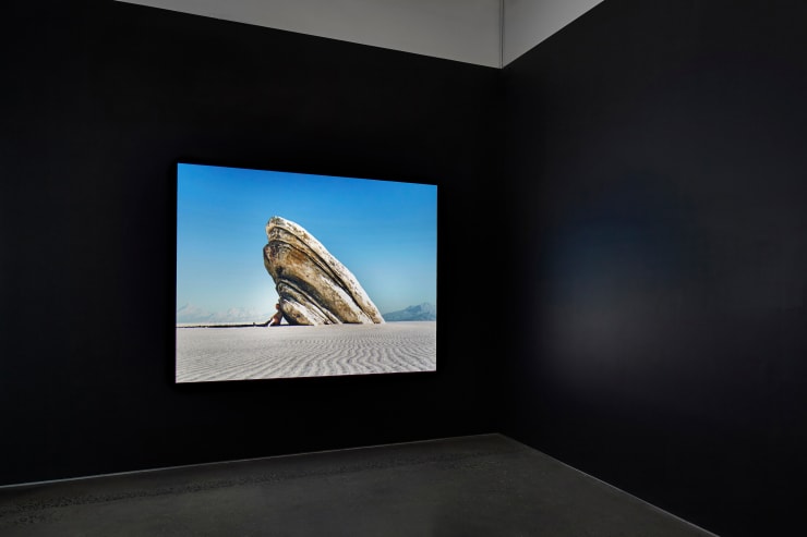 Tierney Muggenborg Burgin 5