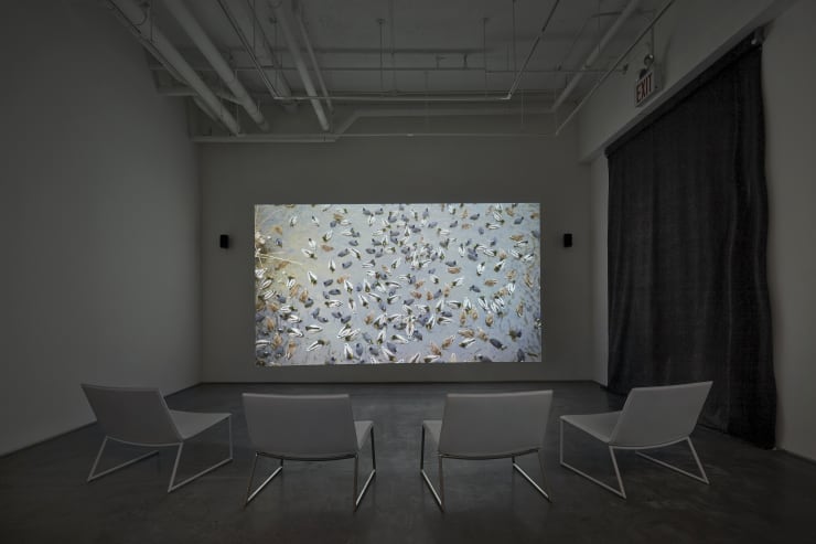 Tierney Wormhole John Muggenborg Ducks