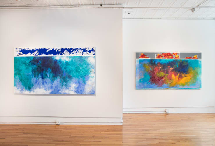 Diane Burko: Bearing Witness