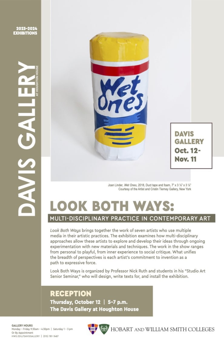 Joan Linder: Look Both Ways: Multi-Disciplinary Practice in Contemporary Art