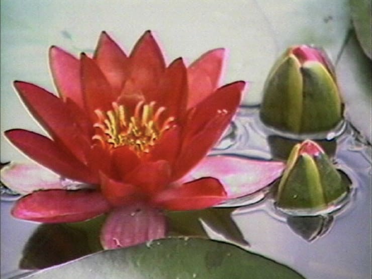 Mary Lucier in Womens Work: Collection 1950s - 1970s