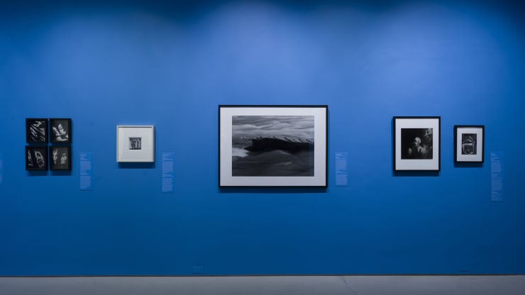 peter campus in Blur / Obscure / Distort: Photography and Perception