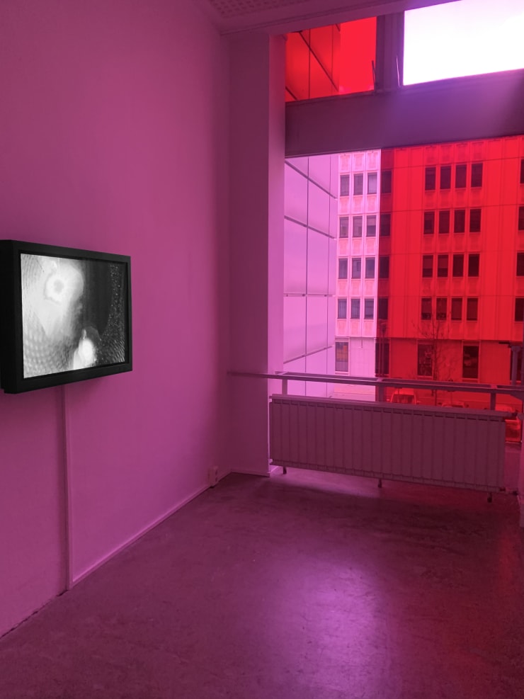 Installation view of Mary Lucier, Bird's Eye, 1978 (Julia Stoschek Collection, 2022). Room design by Cauleen Smith.