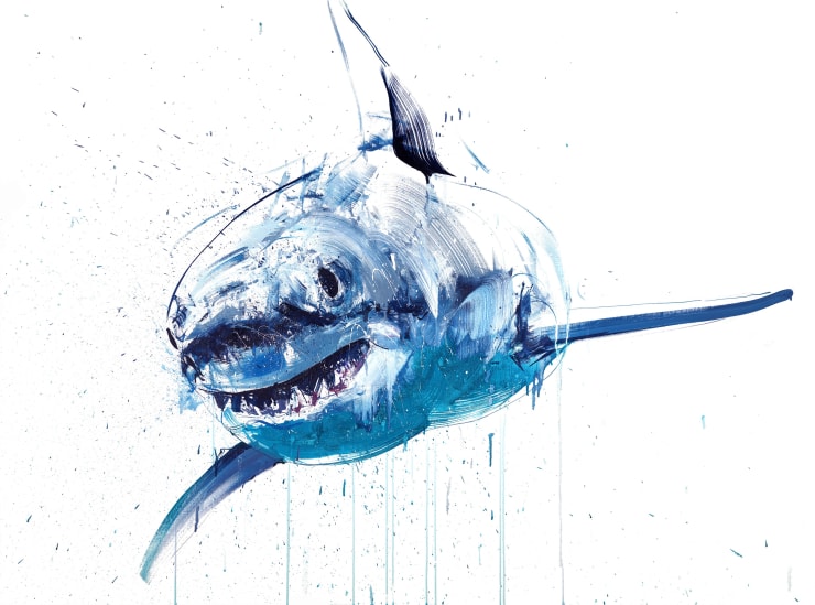 New Works | The Drang Gallery