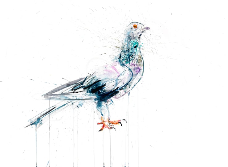 Staple x Dave White Colab