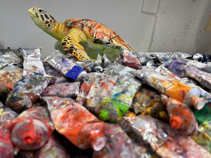 Tusk Turtle Trail London