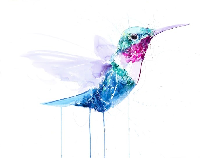 Hummingbird VII