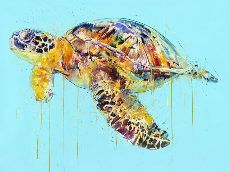 Sea Turtle