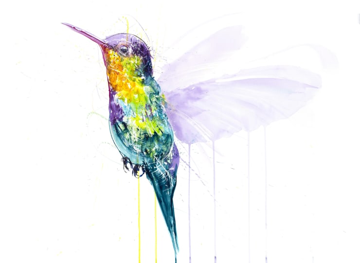 Hummingbird VIII