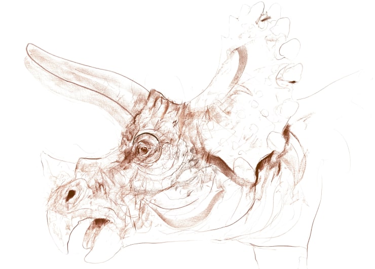 Triceratops VI