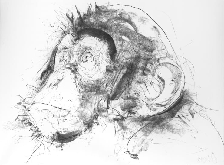 Chimp III (Left Facing), 2017