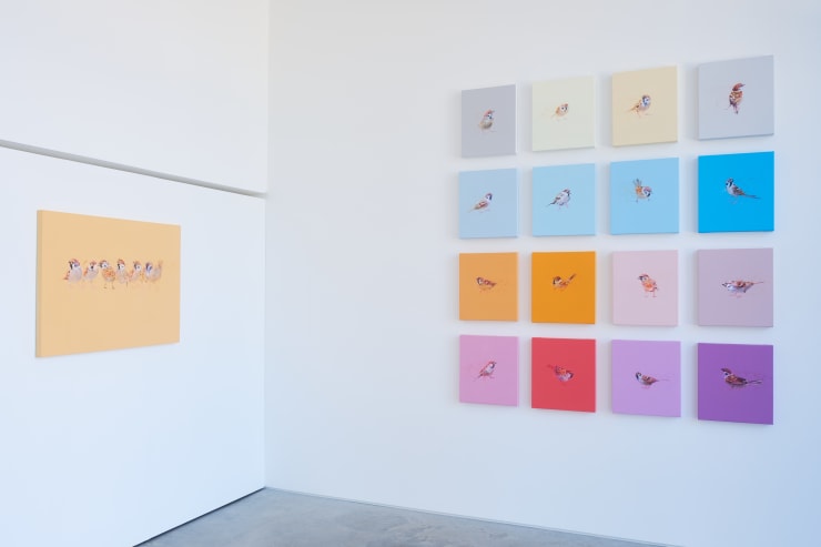 Hang Up Curates: A Beautiful Day by Dave White