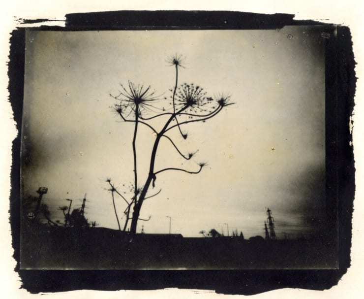 Wayne Foskett - Untitled, Boulevard