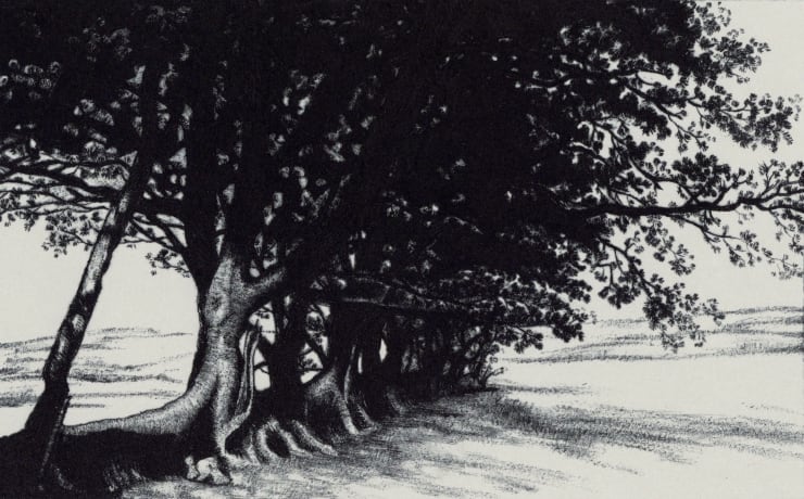 Blaze Cyan, Exmoor, 2023