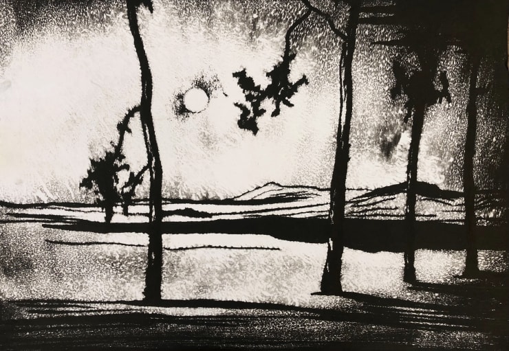 Edward Twohig, Super Moon 27, 2020