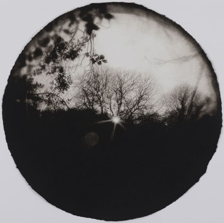 Sarah Gillespie Sempiternal, 2020