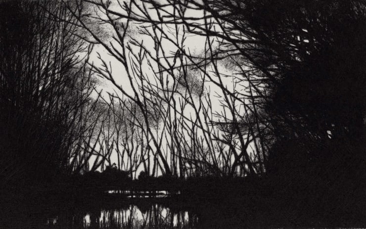 Blaze Cyan, Frensham Ponds, 2023