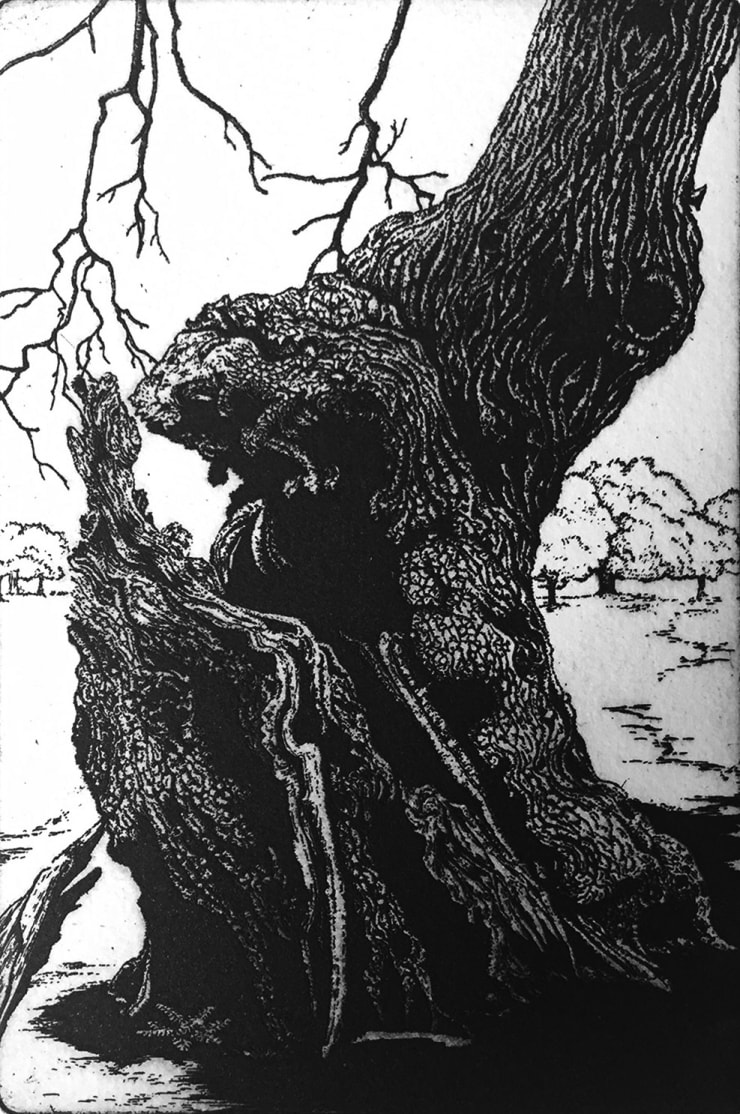 Blaze Cyan, Richmond Park V, 2019