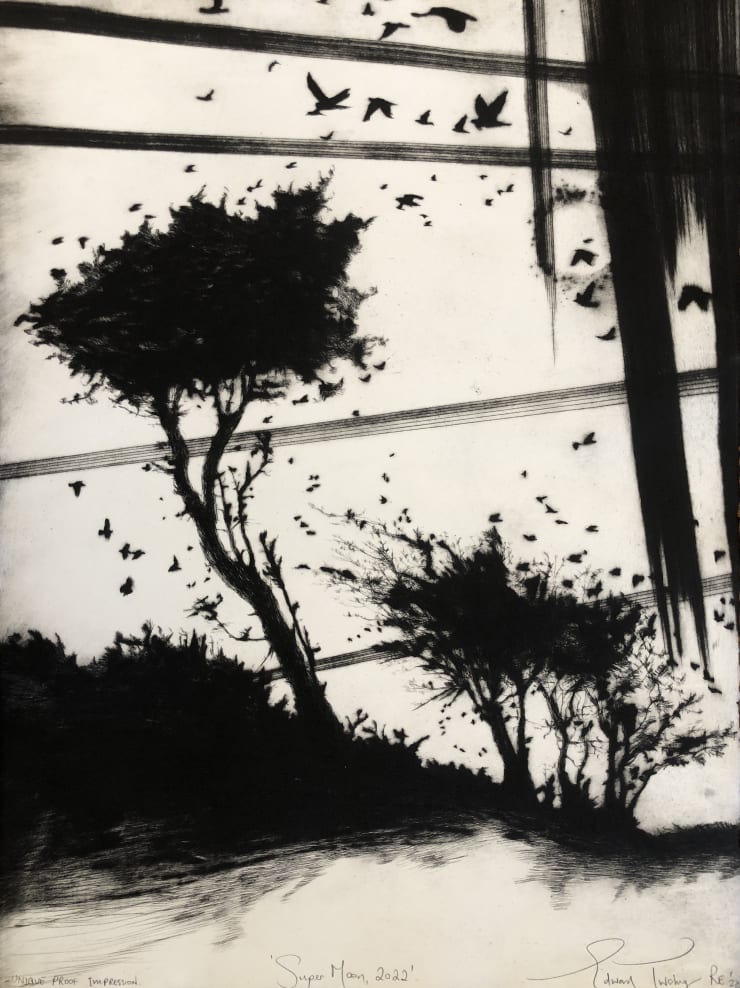 Edward Twohig, Super Moon 86.i, 2022