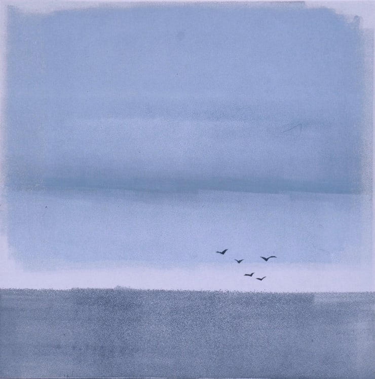 Nigel Swift, Sea Birds, 2021