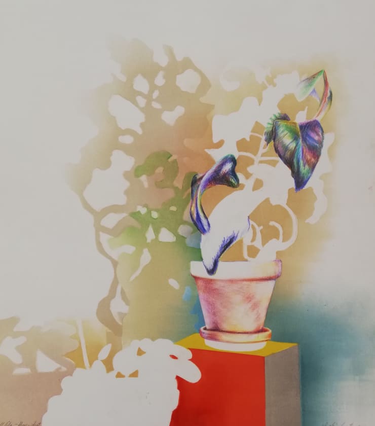 Sophie Layton, Still Life - Houseplant, 2019