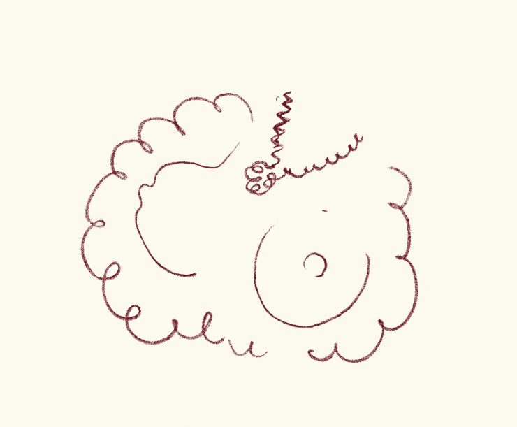 Henri Matisse Plate 121 Florilège des Amours de Ronsard , 1948