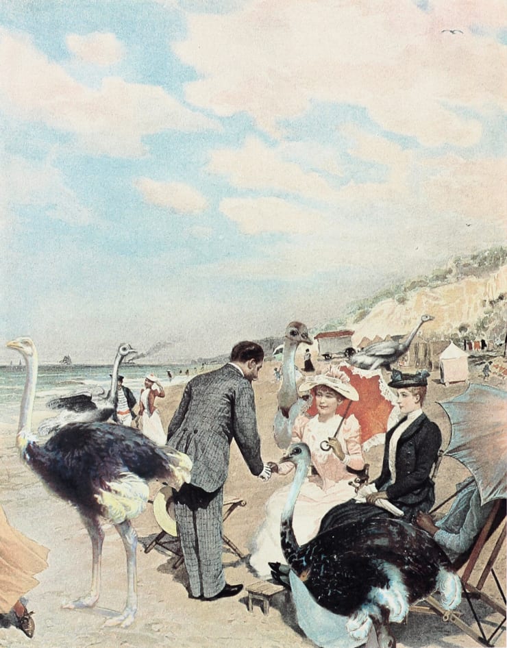 Peter Blake, Ostrich Beach - About Collage: Tourist Attraction, 2000