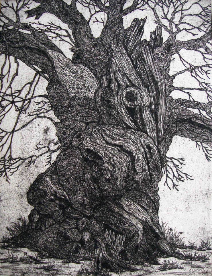 Blaze Cyan, Sundridge Chestnut, 2012