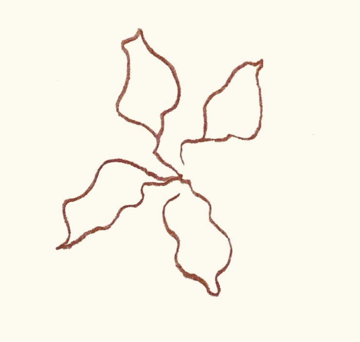 Henri Matisse Plate 85. Florilège des Amours de Ronsard , 1948