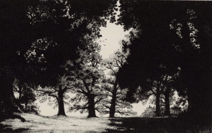 Blaze Cyan, Petworth Park VII, 2023
