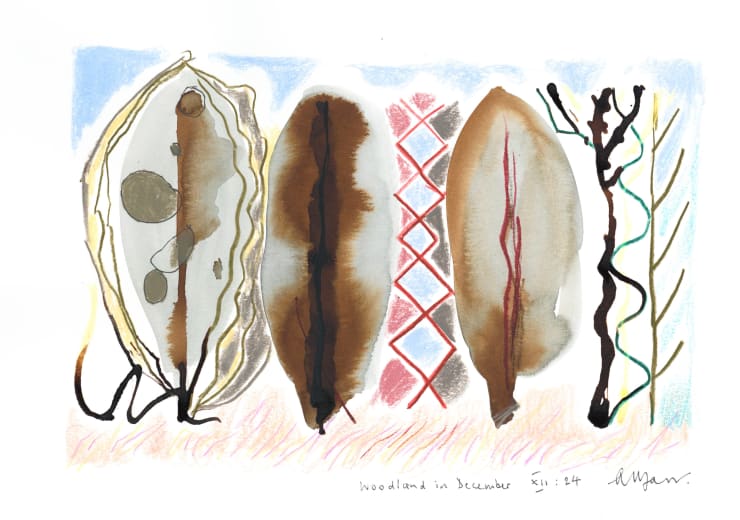 Andrew Marr Woodland in December, XII:24 , 2024