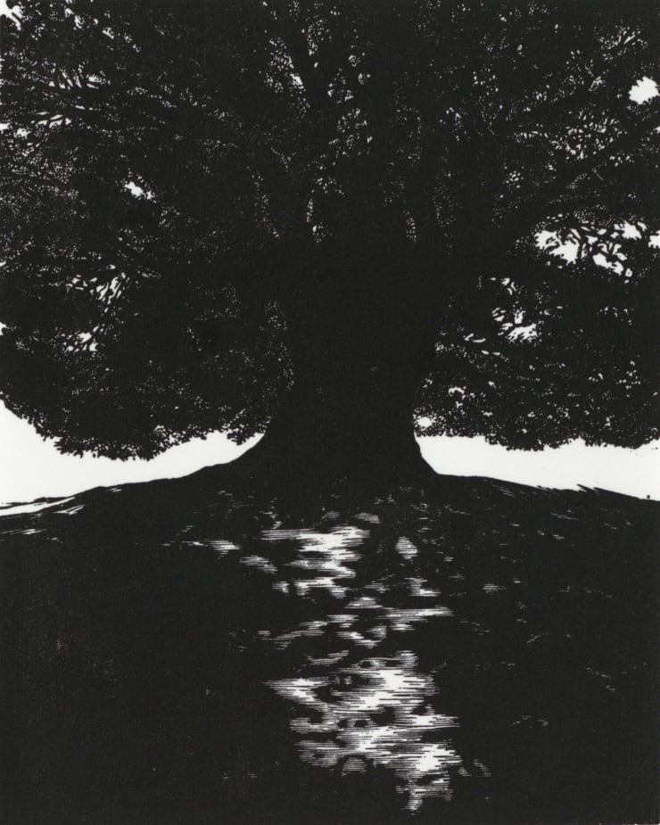 Blaze Cyan, The Oak at Petworth, 2023