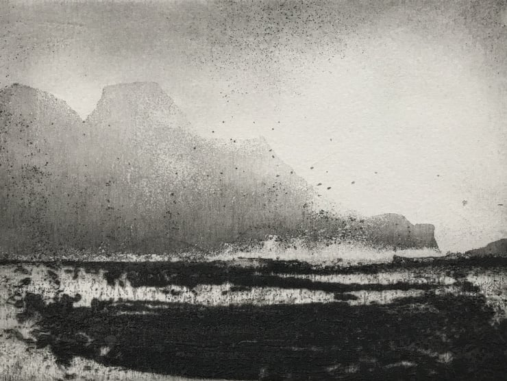 Jason Hicklin, North Gut Grassholm Island, 2020