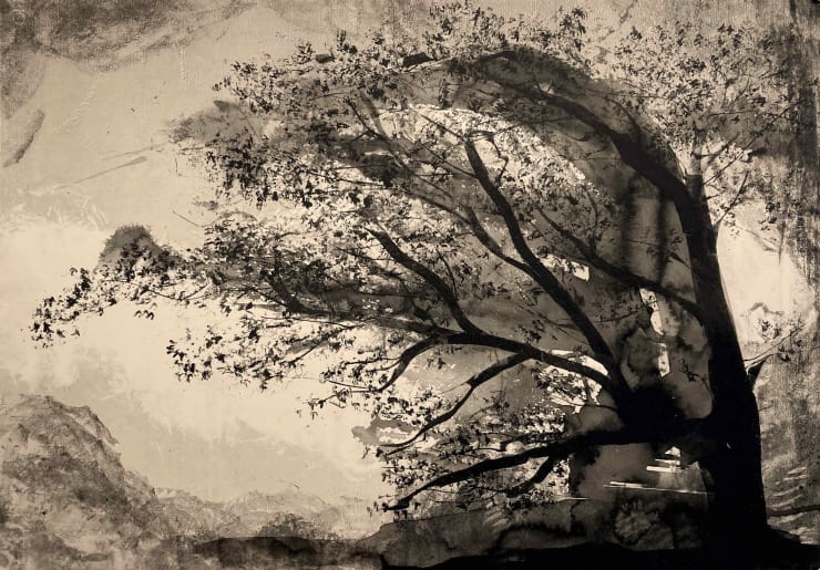 Fiona Fouhy Unleashed, 2023