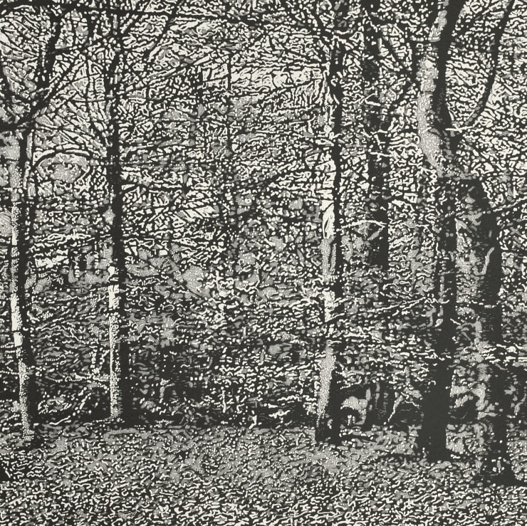 Summer Auction 2021, LOT 154: Trevor Price - Woodlands II