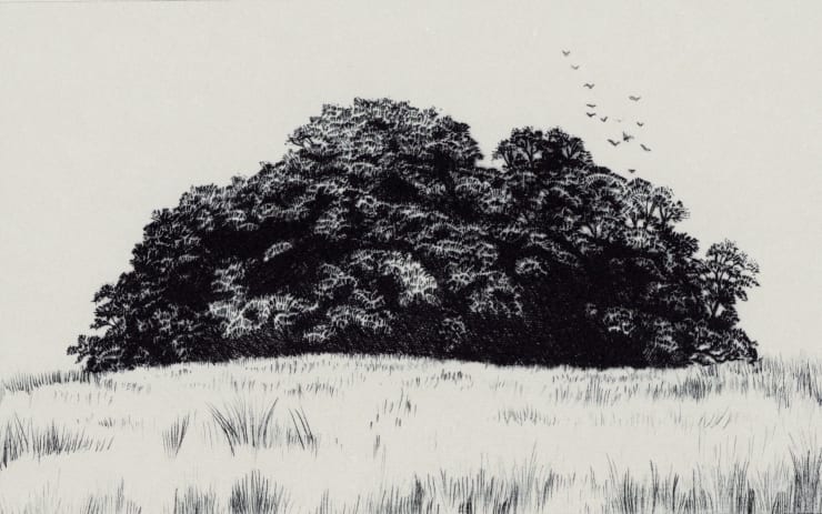 Blaze Cyan, Petworth Park V, 2023