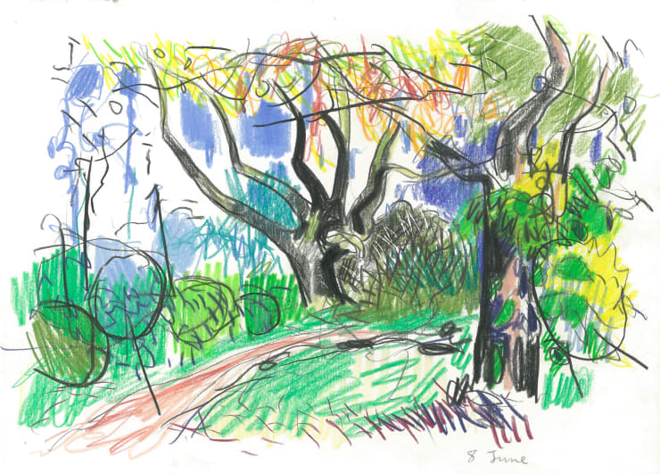 Andrew Marr 8 June, 2021 Coloured pencil