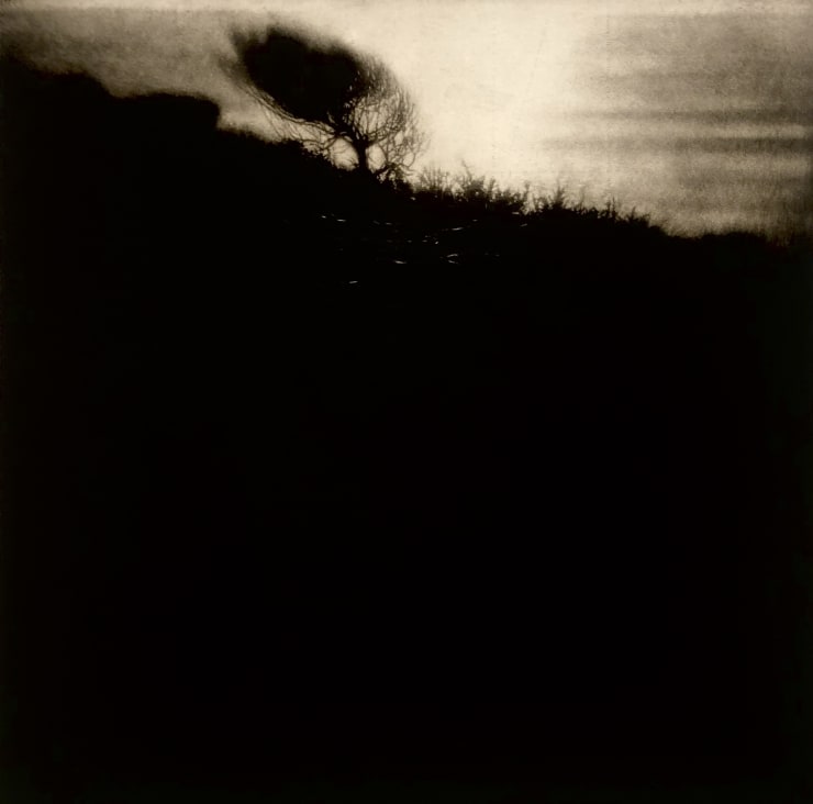 Sarah Gillespie Isolation, 2020