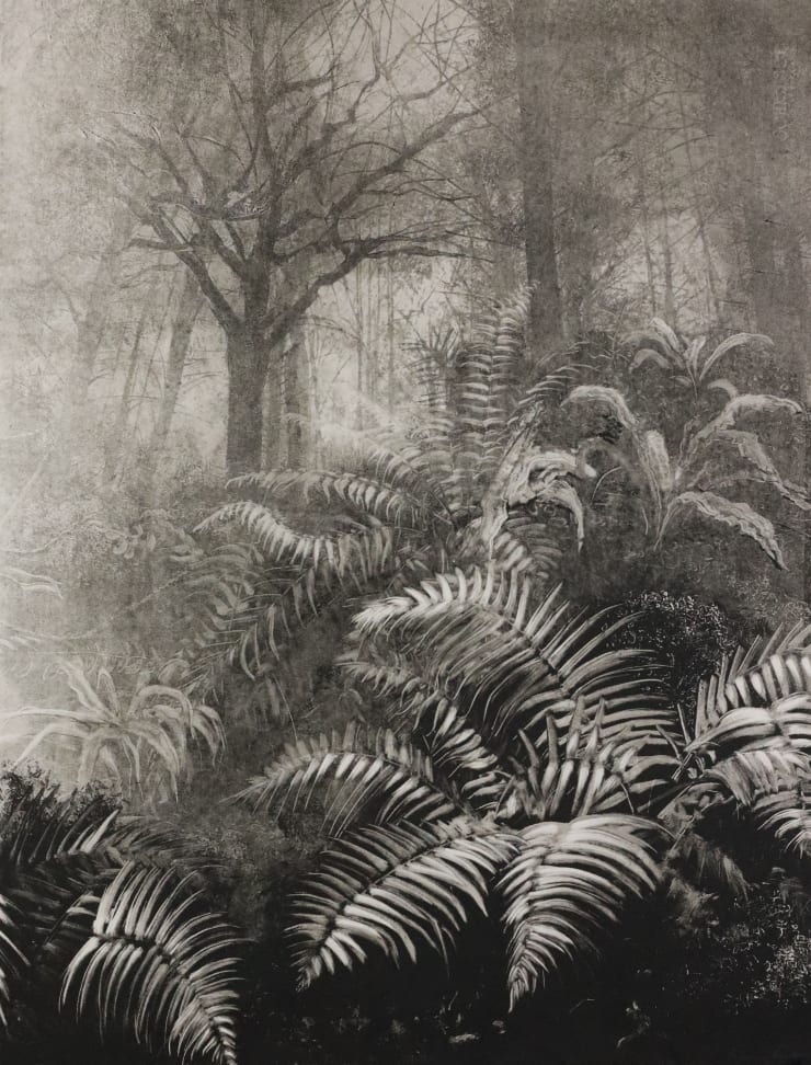Fiona Fouhy, The Invisible Underlying Order of Things, 2024